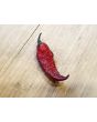 Hot Pepper 'Redgum Tiger MAMP x Chocolate Nagabrains' Seeds (Certified Organic)