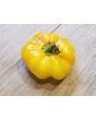 Sweet Pepper ‘Paradicsum Alaku Sarga Szentes’ Seeds (Certified Organic)