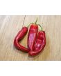 Hot Pepper 'Anaheim' 