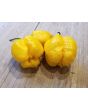 Hot Pepper 'Yellow Carolina Reaper' AKA ‘Reaper Moruga Yellow' Seeds (Certified Organic)
