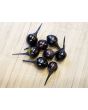 Hot Ornamental Pepper ‘Black Pearl' Seeds (Certified Organic)