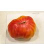 Tomato 'Pineapple'