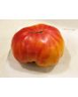 Tomato 'Pineapple'