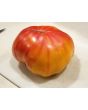 Tomato 'Pineapple'
