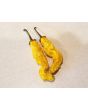 Hot Pepper ‘Yellow Peter’ Seeds (Certified Organic)