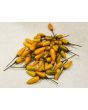 Hot Pepper ‘Yellow Pequin’ 