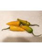Hot Pepper 'Martin's Carrot' Seeds (Certified Organic)