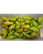Hot Pepper ‘CGN 21500 x Isabela Island Galapagos Habanero' Seeds (Certified Organic)