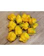 Hot Pepper ‘Bonda Mahala' Seeds (Certified Organic)
