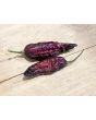Hot Pepper 'Redgum Tiger MAMP x Chocolate Nagabrains' Seeds (Certified Organic)