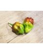 Hot Pepper ‘CGN 21500 x Isabela Island Galapagos Habanero' Seeds (Certified Organic)