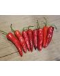 Hot Pepper 'Aci Sivri Biber Cross' Seeds (Certified Organic)