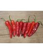 Hot Pepper 'Aci Sivri Biber Cross' Seeds (Certified Organic)
