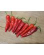 Hot Pepper 'Aci Sivri Biber Cross' Seeds (Certified Organic)
