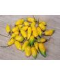 Hot Pepper ‘Chupetinho JXL Yellow' Seeds (Certified Organic)