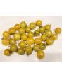 Tomato 'Gajo de Melon'