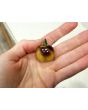 Tomato 'Gold Berries'