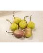 Hot Pepper 'Sugar Rush Cream' Seeds (Certified Organic)