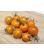 Tomato 'Sungold F2' 