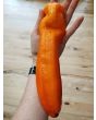Pepper 'Super Sweet Giant Sunrise' Seeds (Certified Organic)