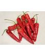 Hot Pepper 'Aci Sivri Biber Cross' Seeds (Certified Organic)