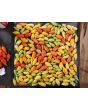 Hot Pepper ‘Carolina Reaper x Bhut Jolokia (Ghost)' Seeds (Certified Organic)
