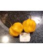 Hot Pepper 'Saco de Velho' Seeds (Certified Organic)