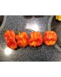 Hot Pepper ‘Aji Chombo' Seeds (Certified Organic)