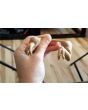 3D Printed T-Rex Dinosaur Arms for Chickens and Roosters 