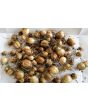 Love-in-a-Mist Mix Seeds (Certified Organic)
