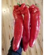 Pepper 'Super Sweet Giant Red' Seeds (Certified Organic)