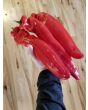 Pepper 'Super Sweet Giant Red' Seeds (Certified Organic)