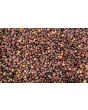 Flint Corn 'Japonica Striped' Seeds (Certified Organic)