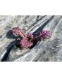 Mustard 'Blood Red' Seeds (Certified Organic)