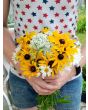 Black-Eyed Susan