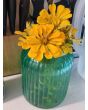 Zinnia 'Canary Bird' Seeds (Certified Organic)