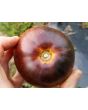 Tomato 'Alice's Dream'