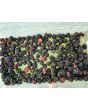 Wild Blackberry Seeds (Certified Organic)