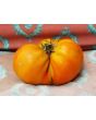 Tomato 'Believe It Or Not' 