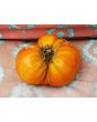 Tomato 'Believe It Or Not' 
