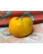 Tomato 'Bleeding Heart' Seeds (Certified Organic)