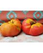Tomato 'Aunt Ginny's Purple' 