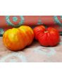 Tomato 'Giganta Zenta Semi' Seeds (Certified Organic)