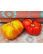 Tomato 'Giganta Zenta Semi' Seeds (Certified Organic)