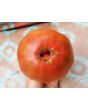 Tomato 'Sara Black' Seeds (Certified Organic)