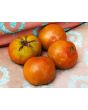 Tomato 'Cherokee Chocolate'