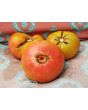 Tomato 'Stump of the World' 