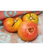 Tomato 'Stump of the World' 