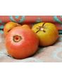 Tomato 'Stump of the World' 