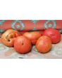 Tomato 'Brandywine Sudduth's Strain' 